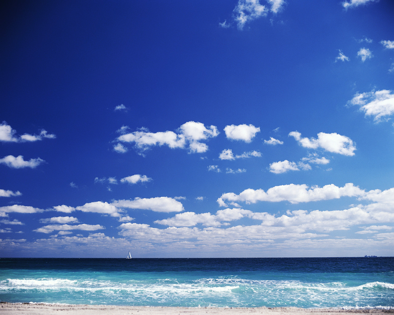 Under blue. Florida Sky Pol.